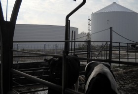 Impianto Biogas azienda agricola funzionante con sola deiezione